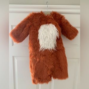 Pottery Barn Kids Fox Costume